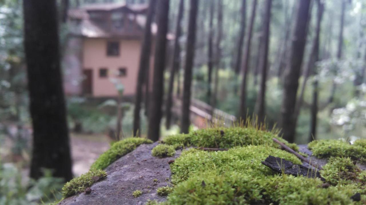 Cabana Rustica A 1Km De Cascada Mazamitla Εξωτερικό φωτογραφία