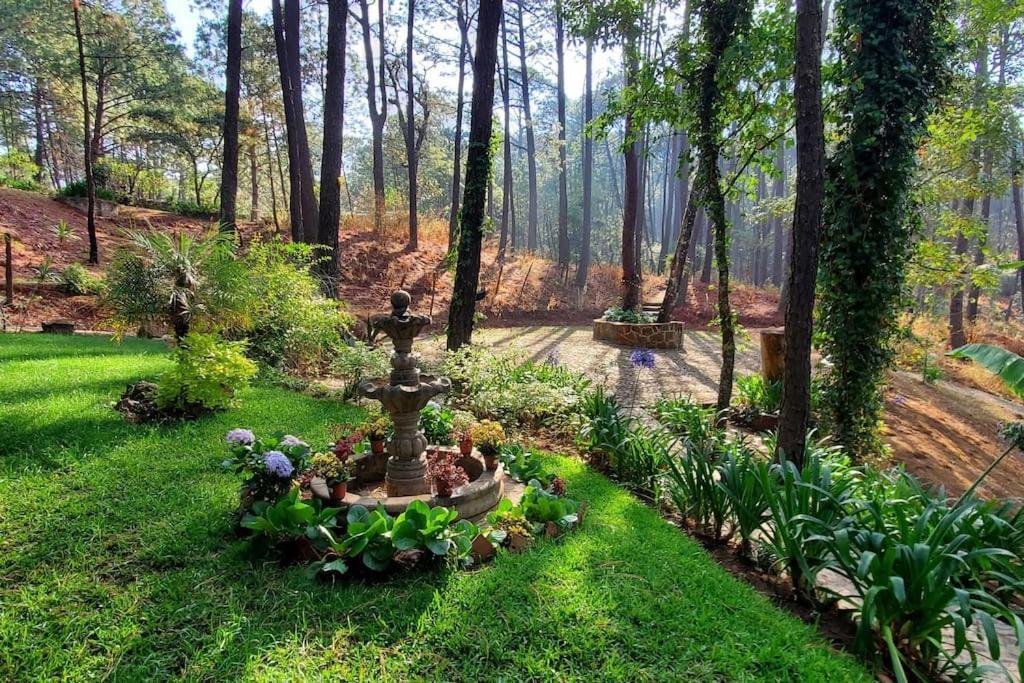 Cabana Rustica A 1Km De Cascada Mazamitla Εξωτερικό φωτογραφία