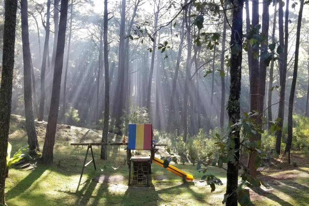 Cabana Rustica A 1Km De Cascada Mazamitla Εξωτερικό φωτογραφία
